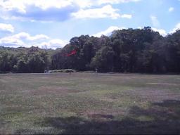 Flying a Kite in Needham
